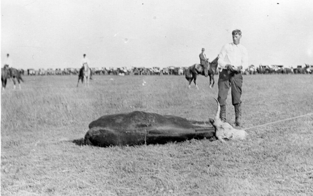 Pasture Rodeo c1920 whs