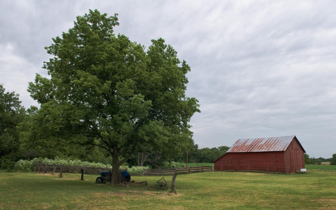 Pioneer Bluffs