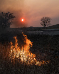 Prairie burn and smoke with dragon shaped flames