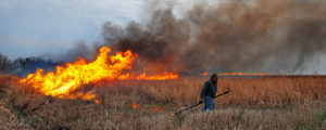 Starting a prairie walking dragging a wand behind