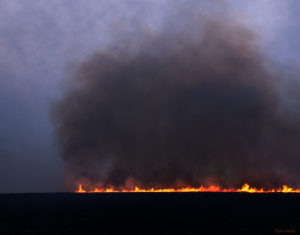 A line of flames and huge cloud of smoke