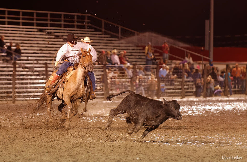 DLL_0736_rodeo