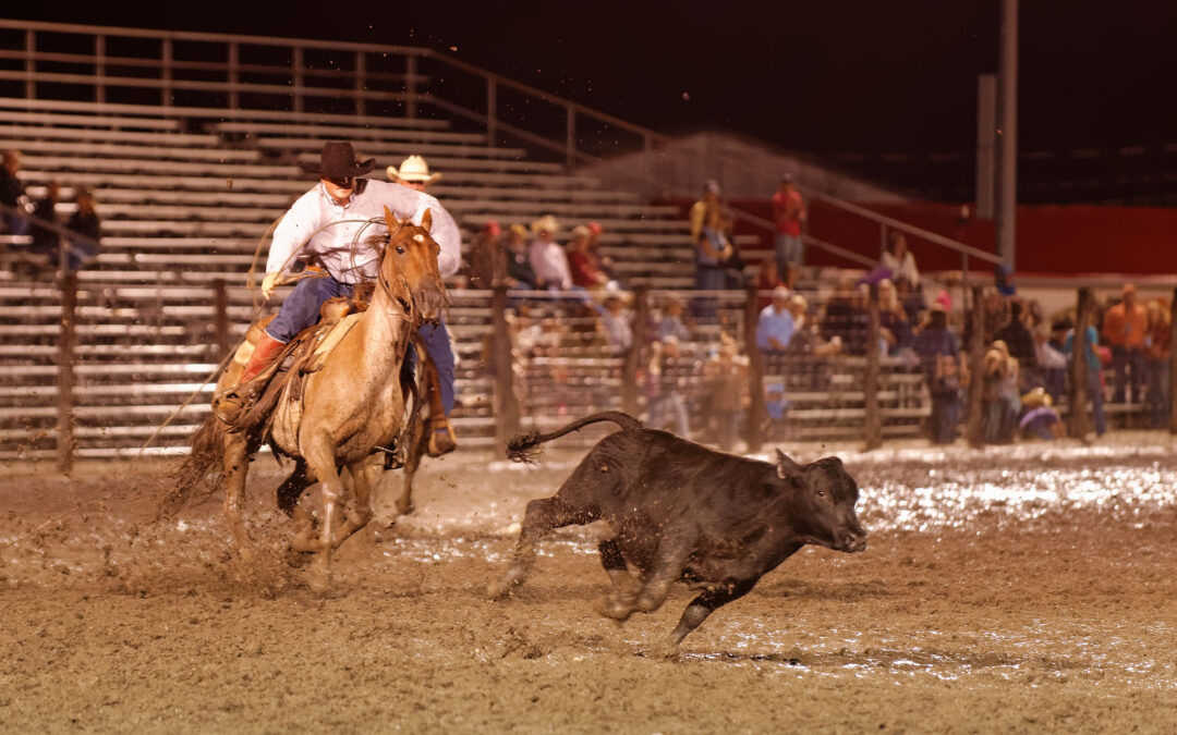 DLL_1226_rodeo_lg