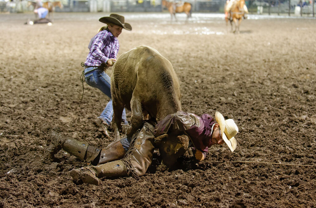 DLL_1415_rodeo